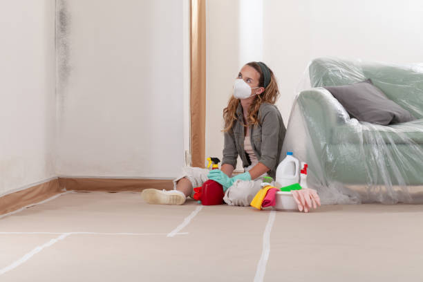 Reliable Mold Testing contractor in Harrison, NJ by WQB Mold Removal