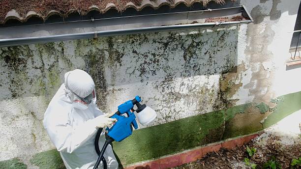 Top rated local Mold Testing specialists in Harrison, NJ